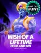 Wish of a Lifetime Hold & Win