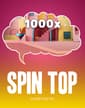 Spin Top