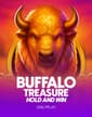 Buffalo Treasure: Hold and Win