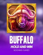 Buffalo Hold and Win