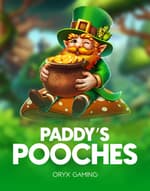 Paddy’s Pooches