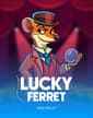 Lucky Ferret