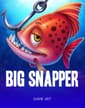 Big Snapper