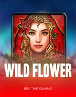 Wild Flower