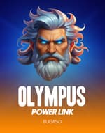 Olympus Power Link