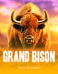 Grand Bison