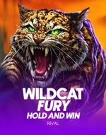 Wildcat Fury
