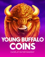 Young Buffalo Coins