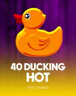 40 Ducking Hot