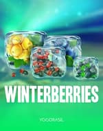 Winterberries
