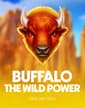 Buffalo. The Wild Power 94