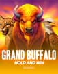 Grand Buffalo Hold and Win