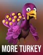 More Turkey