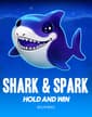 Shark And Spark Hold And Win